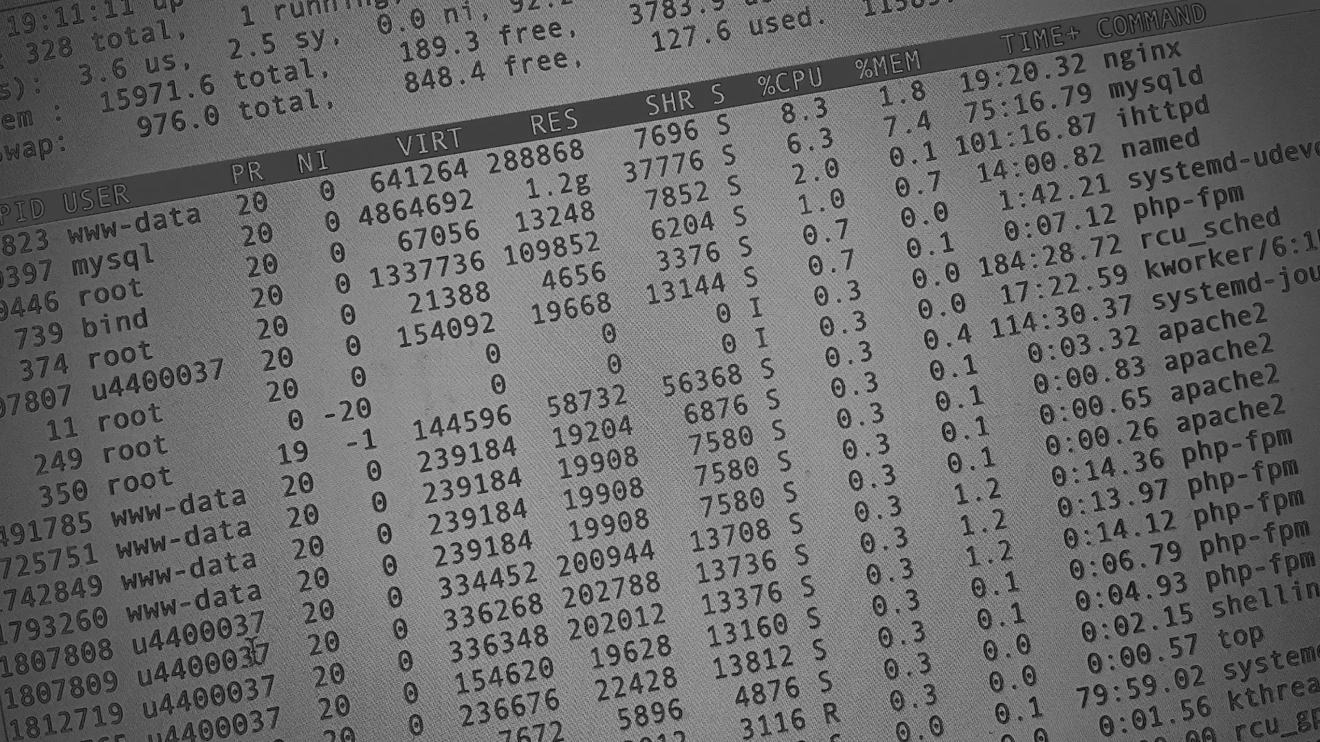 Настройка сервера в Печорах