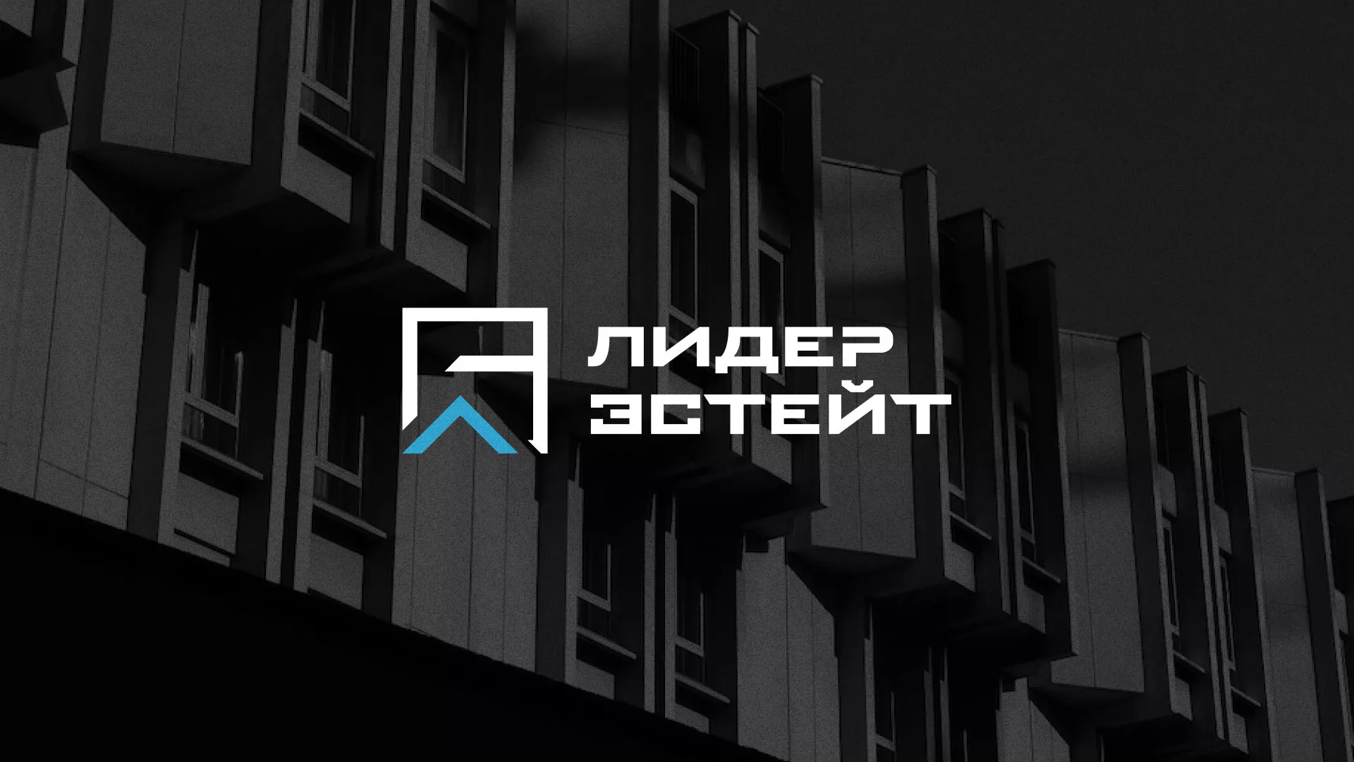 Разработка логотипа агентства недвижимости «Лидер Эстейт» в Печорах